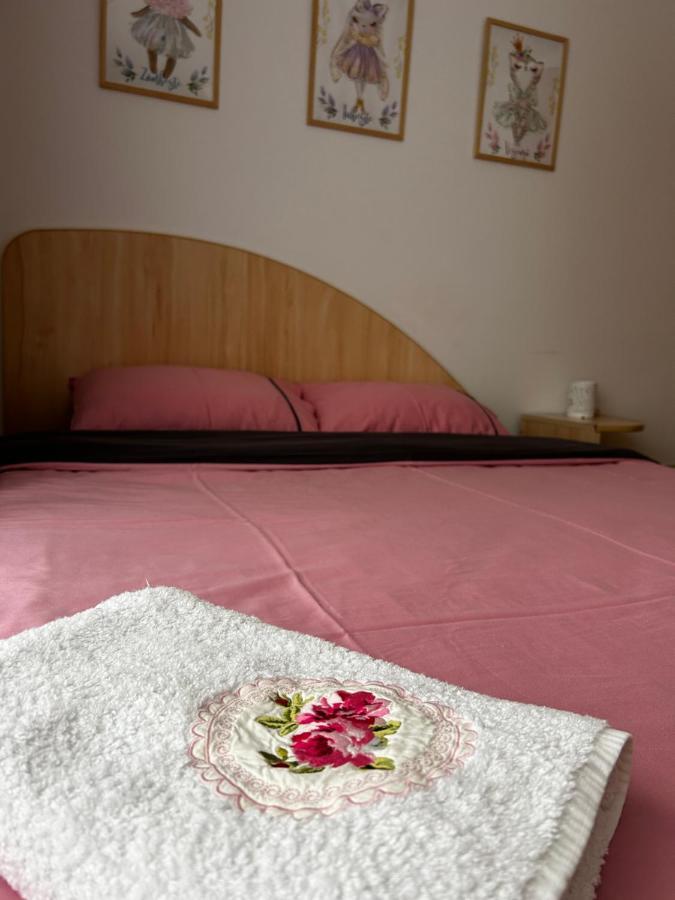 Lalelelor Apartment Suceava Bagian luar foto